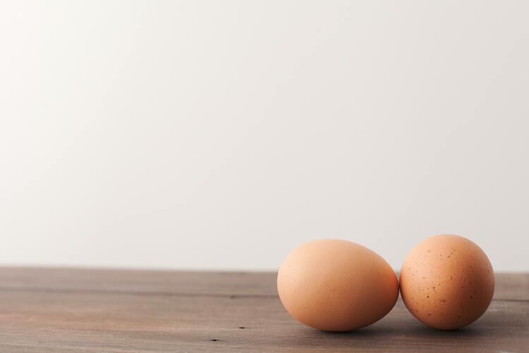 ทำความเข้าใจเกี่ยวกับไข่